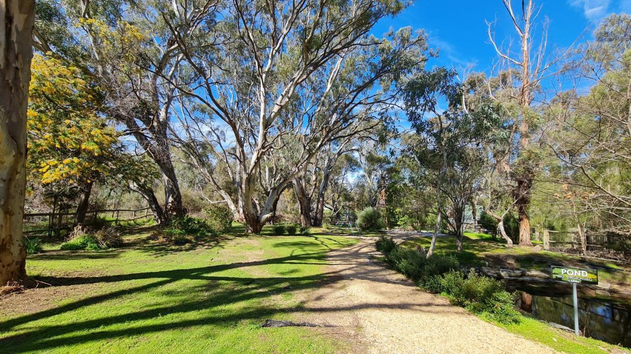 Villa Barossa Hills