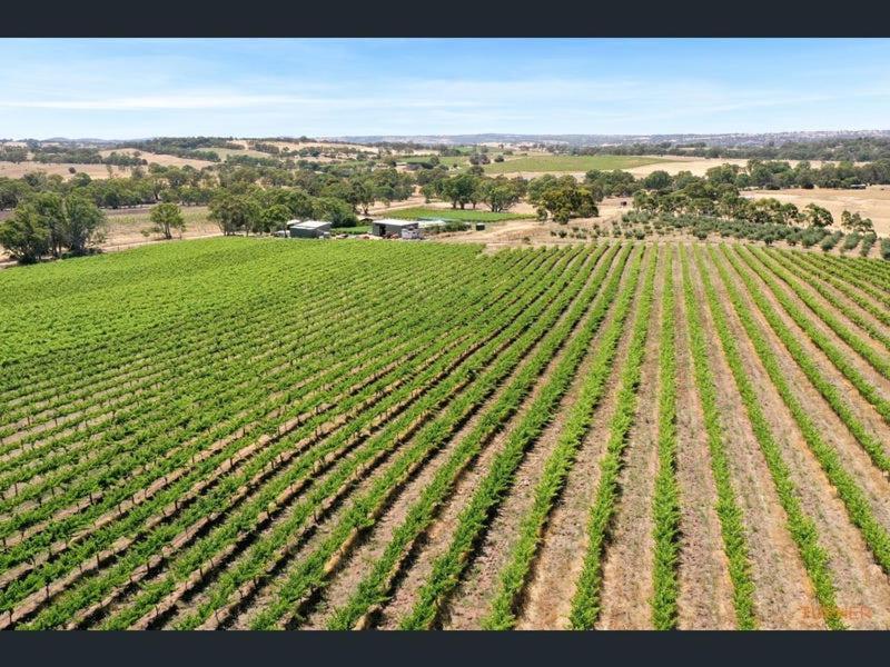 Barossa Hills Villa *