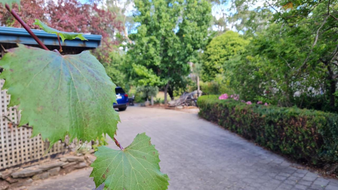 Villa Barossa Hills